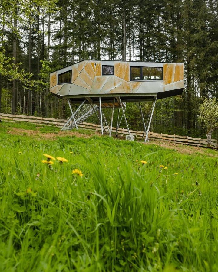 Baumhausapartment Breuberg Екстер'єр фото